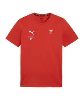 PUMA teamGOAL Casuals T-Shirt Rot F01