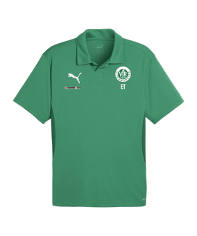PUMA teamGOAL Poloshirt Grün F05