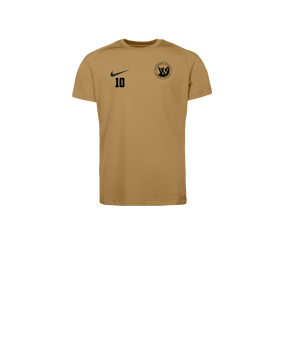 Nike Park VIII Trikot Kids Gold F729