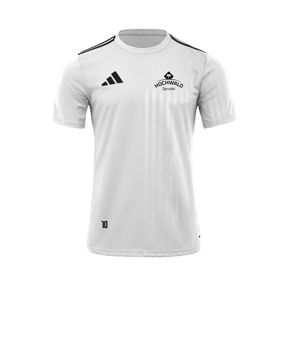 adidas Campeon 25 Trikot Weiss