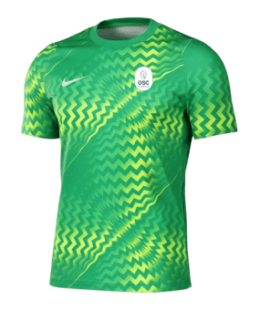 Nike Gardien VI Torwarttrikot Grün F324