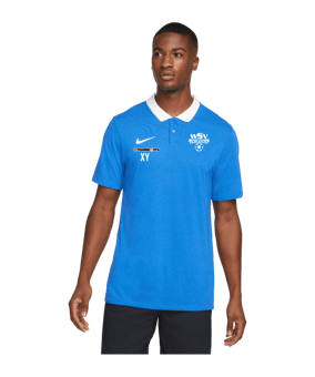Nike Park 20 Poloshirt Blau Weiss F463