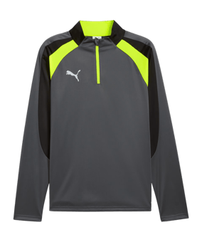 PUMA Sweatshirt Grau F08 - grau