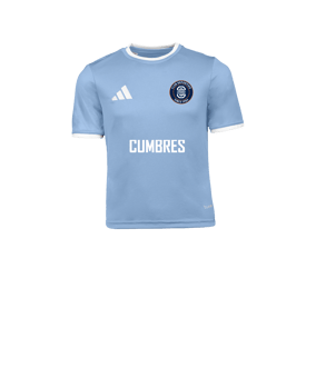 adidas Entrada 26 Camiseta Niños Azul 