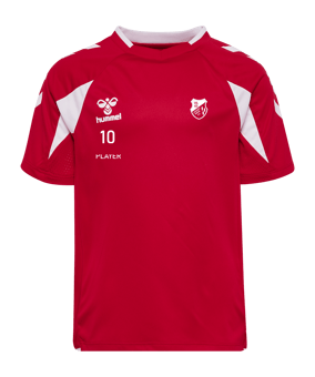 hummel Core 2.0 Trikot Kids Rot F3946