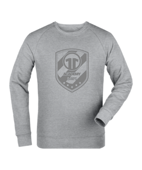11ts Academy Sweatshirt Allgrey Grau - grau
