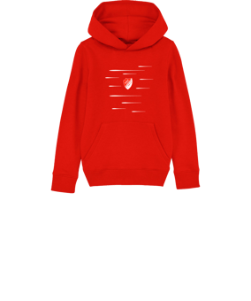 Merch Mini Cruiser 2.0 Hoody Kids Red | #lines