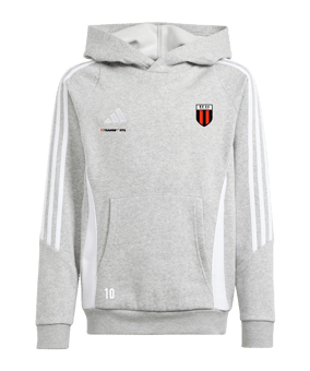 adidas Tiro 24 Hoody Kids Grau Weiss