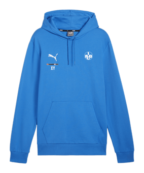 PUMA teamGOAL Casuals Hoody Blau F02