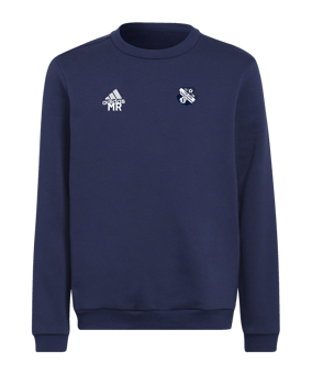adidas Entrada 22 Sweatshirt Kids Blau