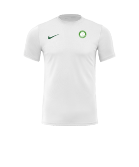 Maillot Nike Park VII blanc vert F101 