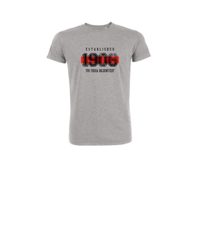 Merch Mini Creator 2.0 T-Shirt Kids Heather Grey  | #established