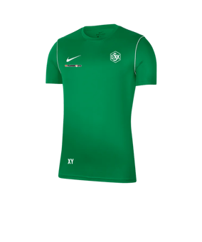 Nike Park 20 Training Shirt Grün F302