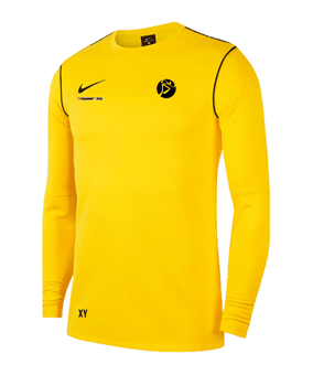 Nike Park 20 Sweatshirt Gelb Schwarz F719