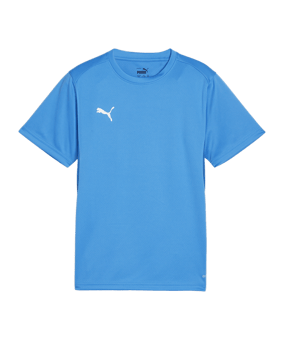 PUMA teamGOAL Trikot Kids Blau F02 - hellblau