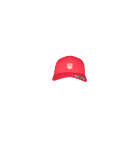 Merch 5 Panel Retro Trucker Cap Red | logo4c