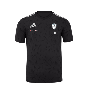 adidas Team Icon 25 Trikot Schwarz