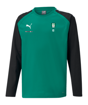 PUMA teamLIGA Sweatshirt Kids Grün F05