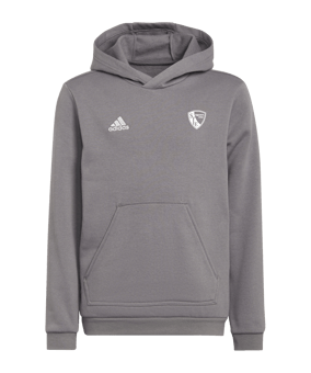 adidas Entrada 22 Hoody Kids Grau
