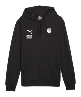 PUMA teamGOAL Casuals Hoody Schwarz F03