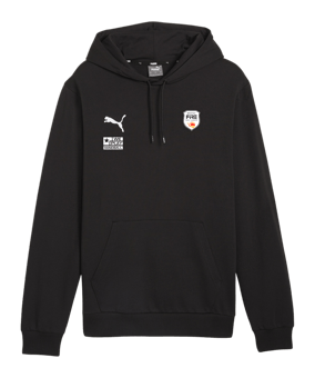 PUMA teamGOAL Casuals Hoody Schwarz F03