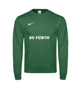 Nike Park 26 Sweatshirt Grün F302