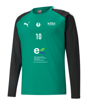 PUMA teamLIGA Trainig Sweatshirt Grün Schwarz F05