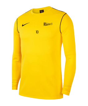 Nike Park 20 Sweatshirt Gelb Schwarz F719