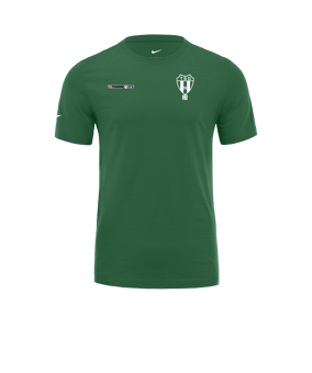 Nike Park 20 T-Shirt Grün Weiss F302