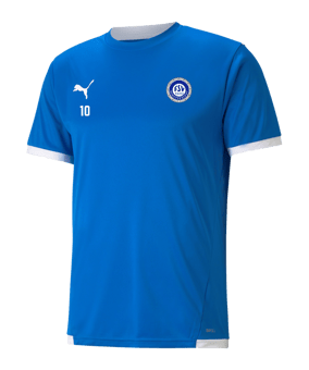 PUMA teamLIGA Trikot Blau
