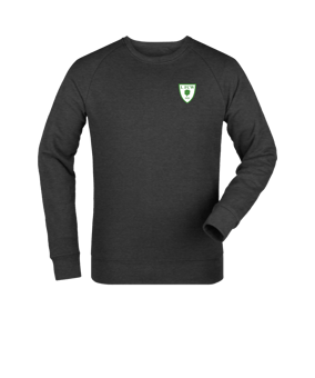 Merch Roller Sweatshirt Dark Heather Grey FC651