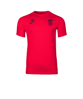 Nike Park VIII Trikot Rot F635