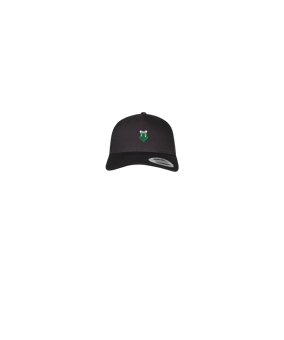 Merch 5 Panel Retro Trucker Cap Schwarz | logo4c