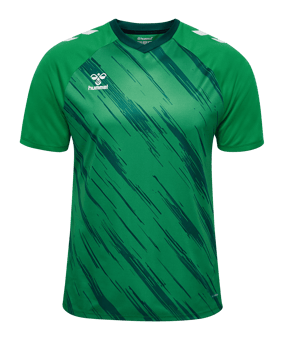 Hummel Match Triumph Trikot Grün F6439 - gruen
