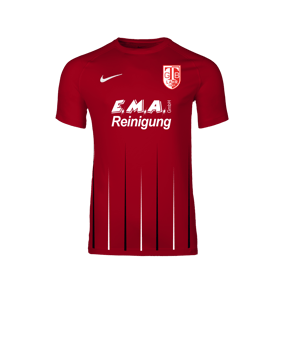 Nike Park VIII Trikot Rot F657
