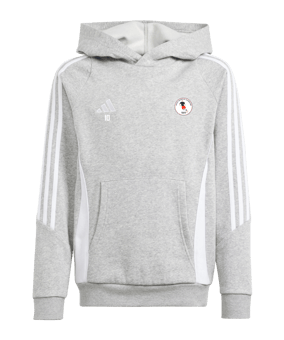 Sweat à capuche adidas Tiro 24 enfants gris blanc 