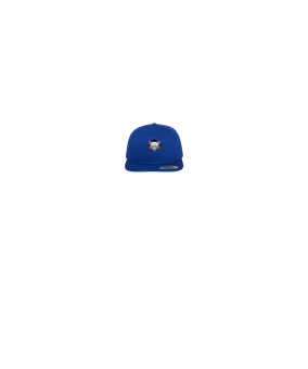 Merch 5 Panel Classic Snapback Cap Royal Green