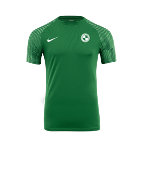 Nike Academy Trikot Grün Weiss F302