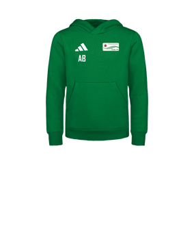 adidas Entrada 26 Hoody Kids Grün