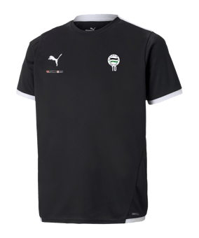 PUMA teamLIGA Trikot Kids Schwarz F03