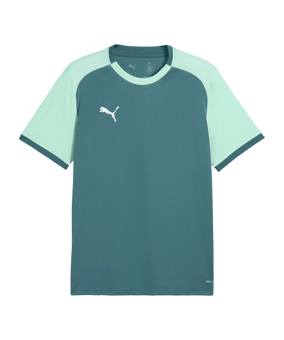 PUMA teamLIGA26 Matchday Trikot Grün F43 - gruen