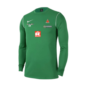 Nike Park 20 Sweatshirt Grün Weiss F302