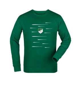 Merch Roller Sweatshirt Bottle Green | #lines