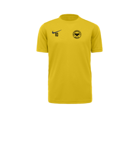 Nike Park VII Trikot kurzarm Kids Gelb F719