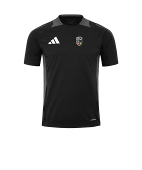 adidas Tiro 24 Comp Training Trikot Schwarz Grau