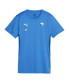 PUMA teamGOAL Trikot Damen Blau F02