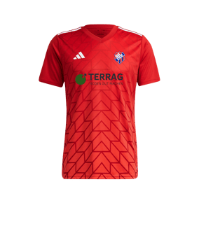 adidas Team Icon 23 Trikot Rot