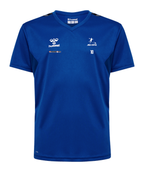 Hummel Authentic Pl Trikot Kids Blau F7045