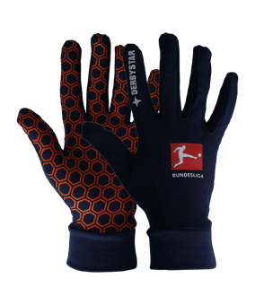 Derbystar Spielerhandschuhe v21 Blau F21 - blau