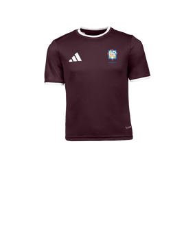 adidas Entrada 26 Camiseta Niños Rojo 
